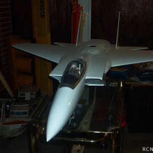 Nitro Ducted Fan F-15 with retracts.  6' long, 5' wingspan.